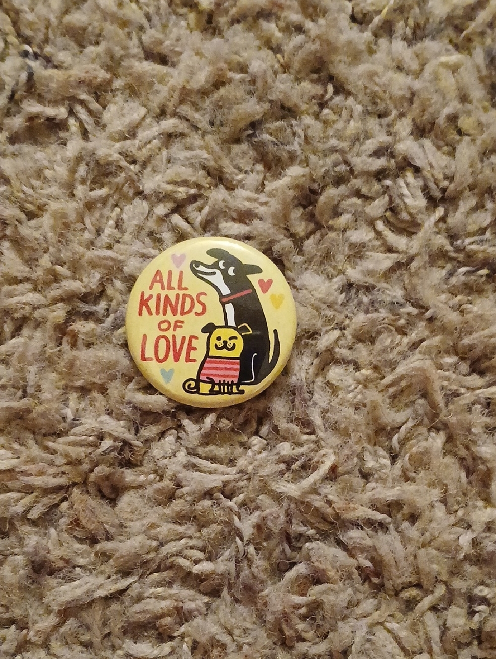 All Kinds of Love Yellow Cute Pet Pin